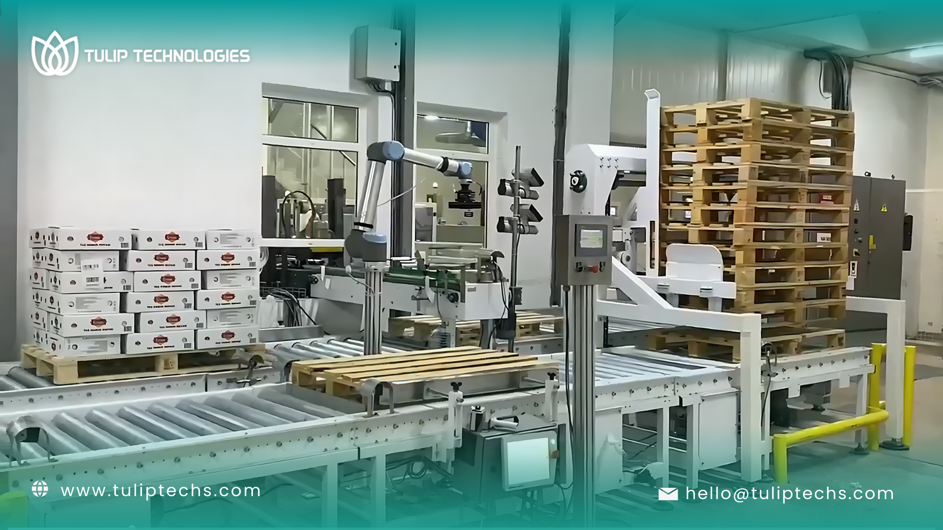 أهم 3 تطبيقات لروبوتات توليب للتقنيات في مصانع الأغذية